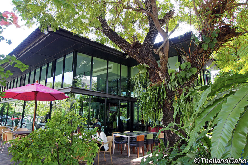 タリンプリン スクンビット