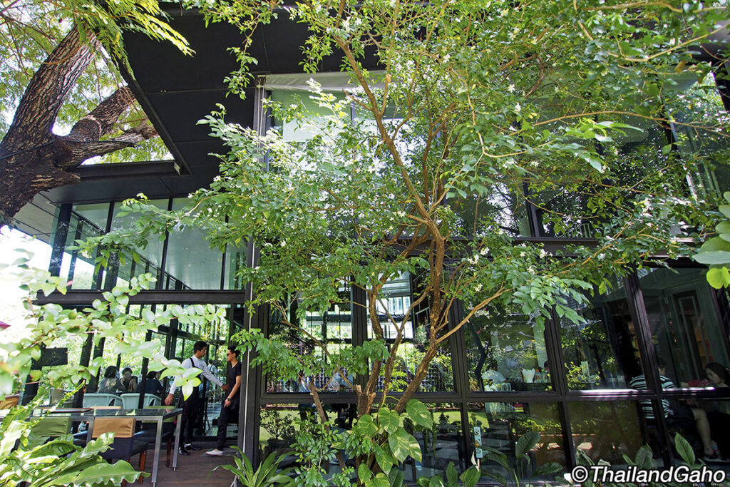 タリンプリン スクンビット