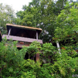 ツリートップス