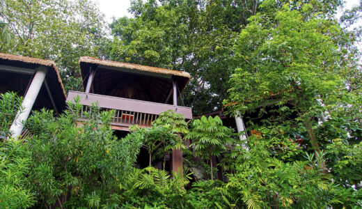 ツリートップス ダイニング (Tree Tops Sky Dining)