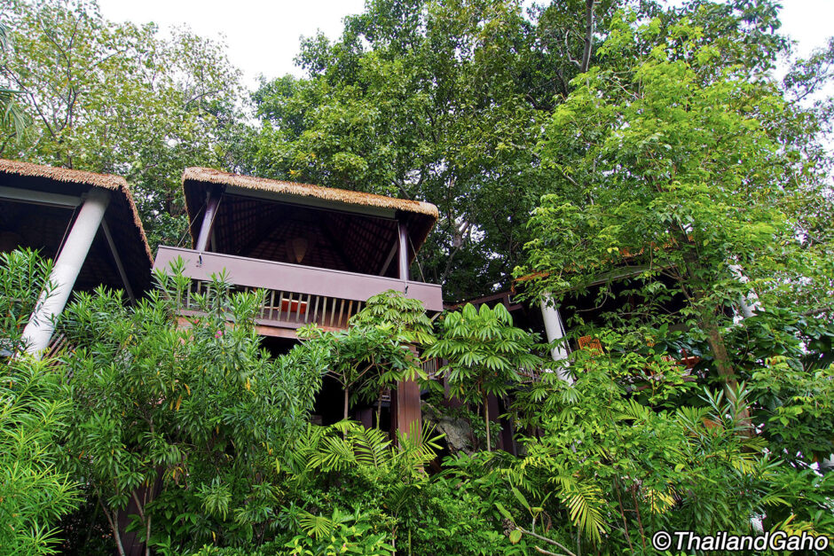 ツリートップス