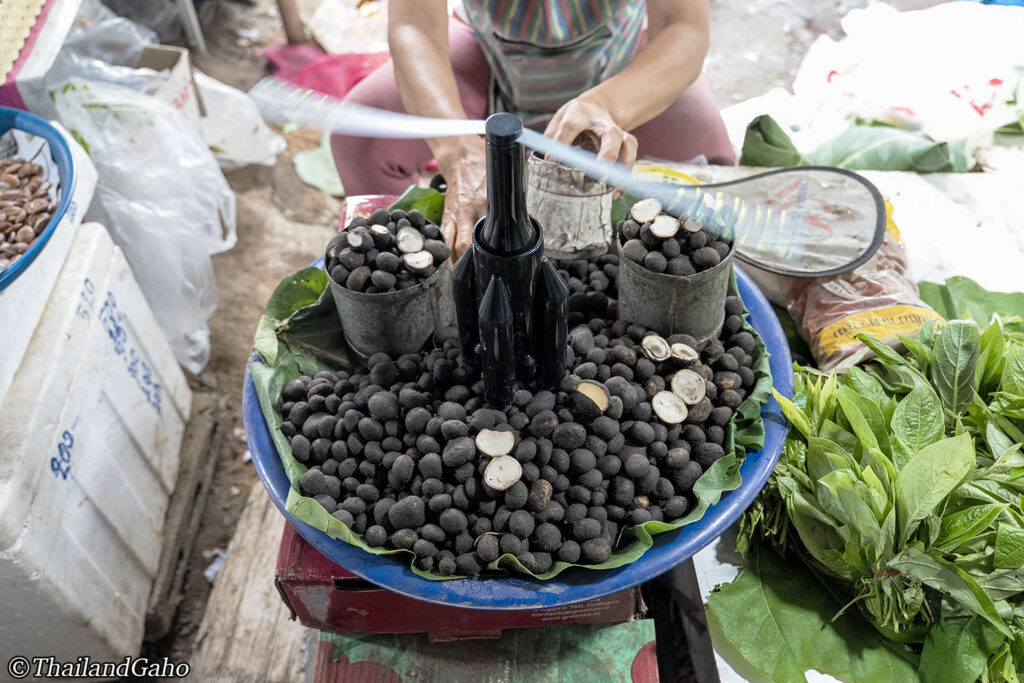 タイ北部　食文化　土栗