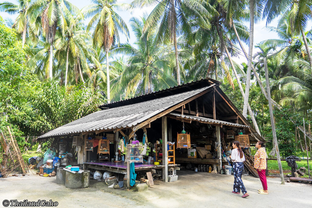 ナコーン・シータマラート