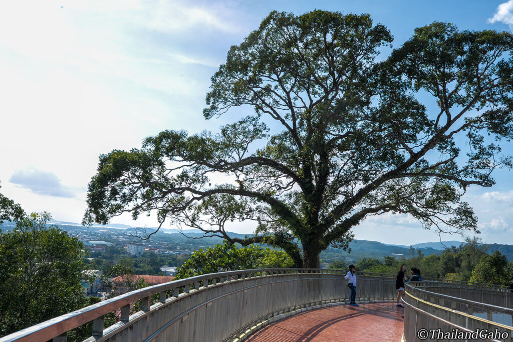 ラノーン　観光