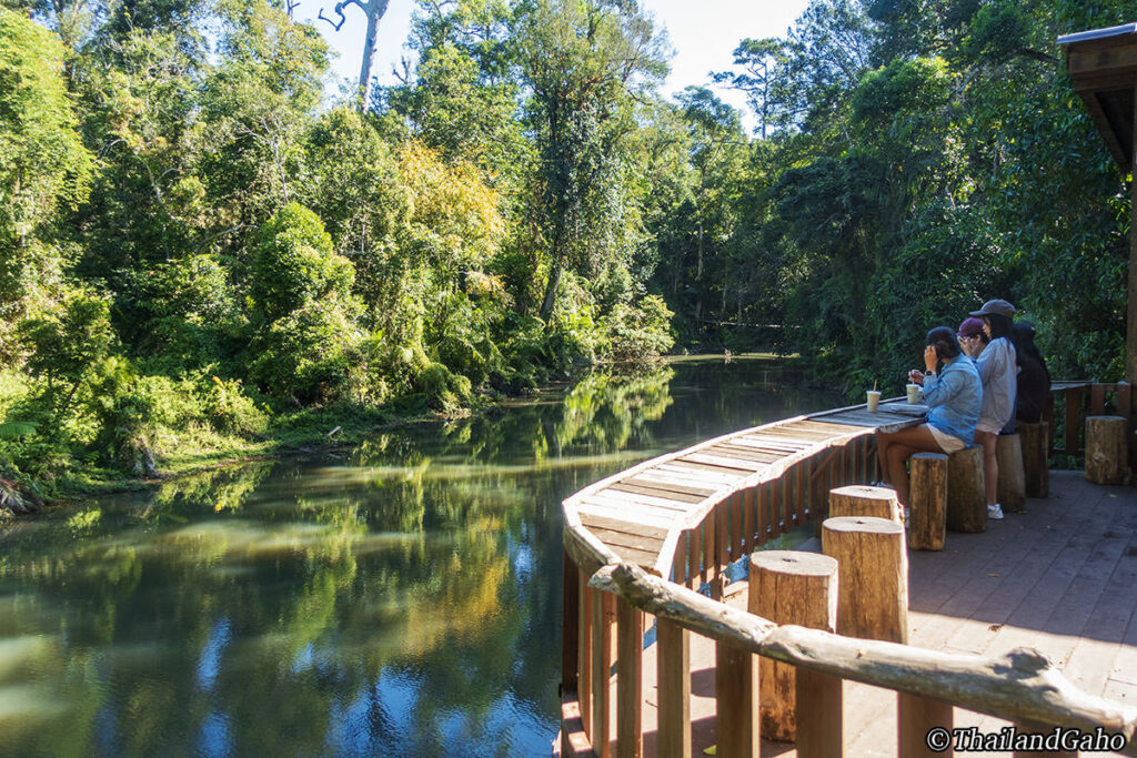 カオヤイ1日ツアー