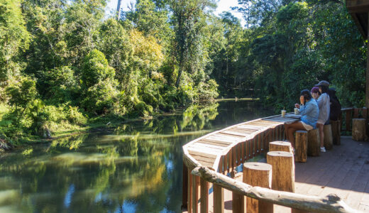 カオヤイ1日ツアー