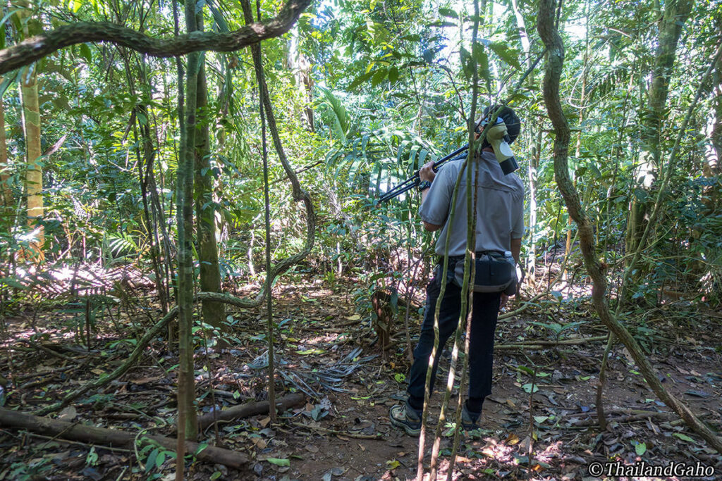 カオヤイ・ジャングルツアー