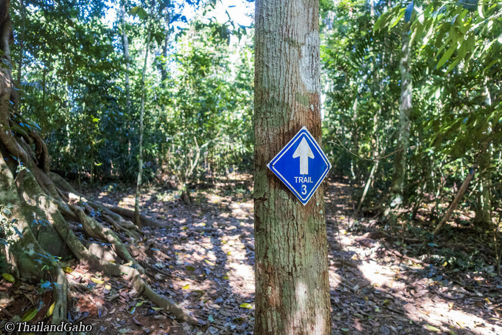 カオヤイ1日ツアー
