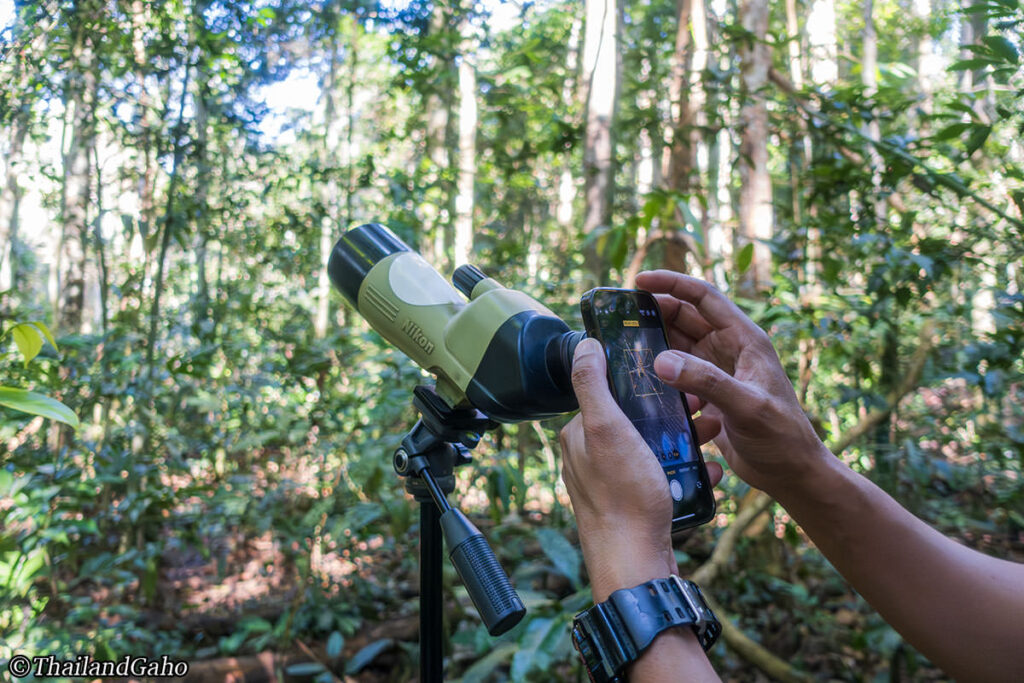 カオヤイ1日ツアー