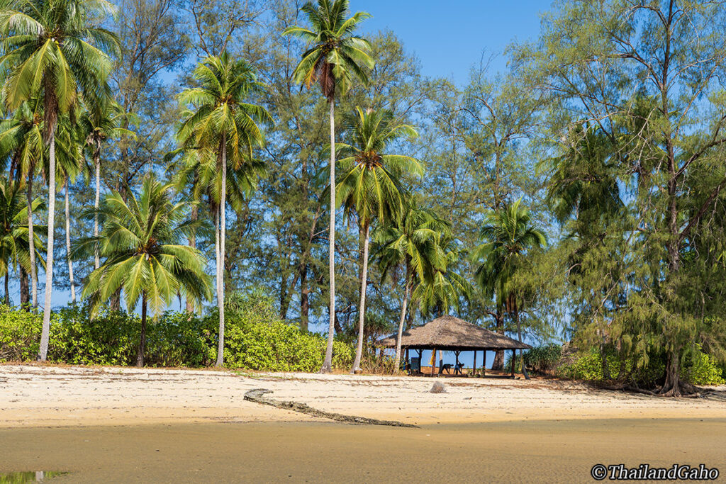 プラトーン島・ババ・エコロッジ